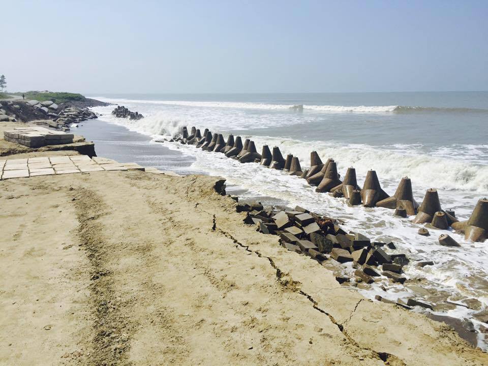 Concrete tetrapod sea wall along the coastline